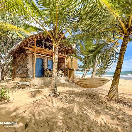 The Alpha Monkey Hotel & Tree House Тангалла Экстерьер фото