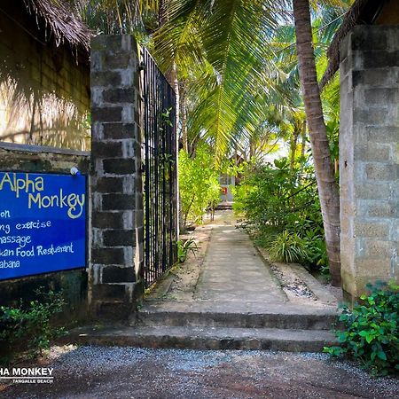 The Alpha Monkey Hotel & Tree House Тангалла Экстерьер фото