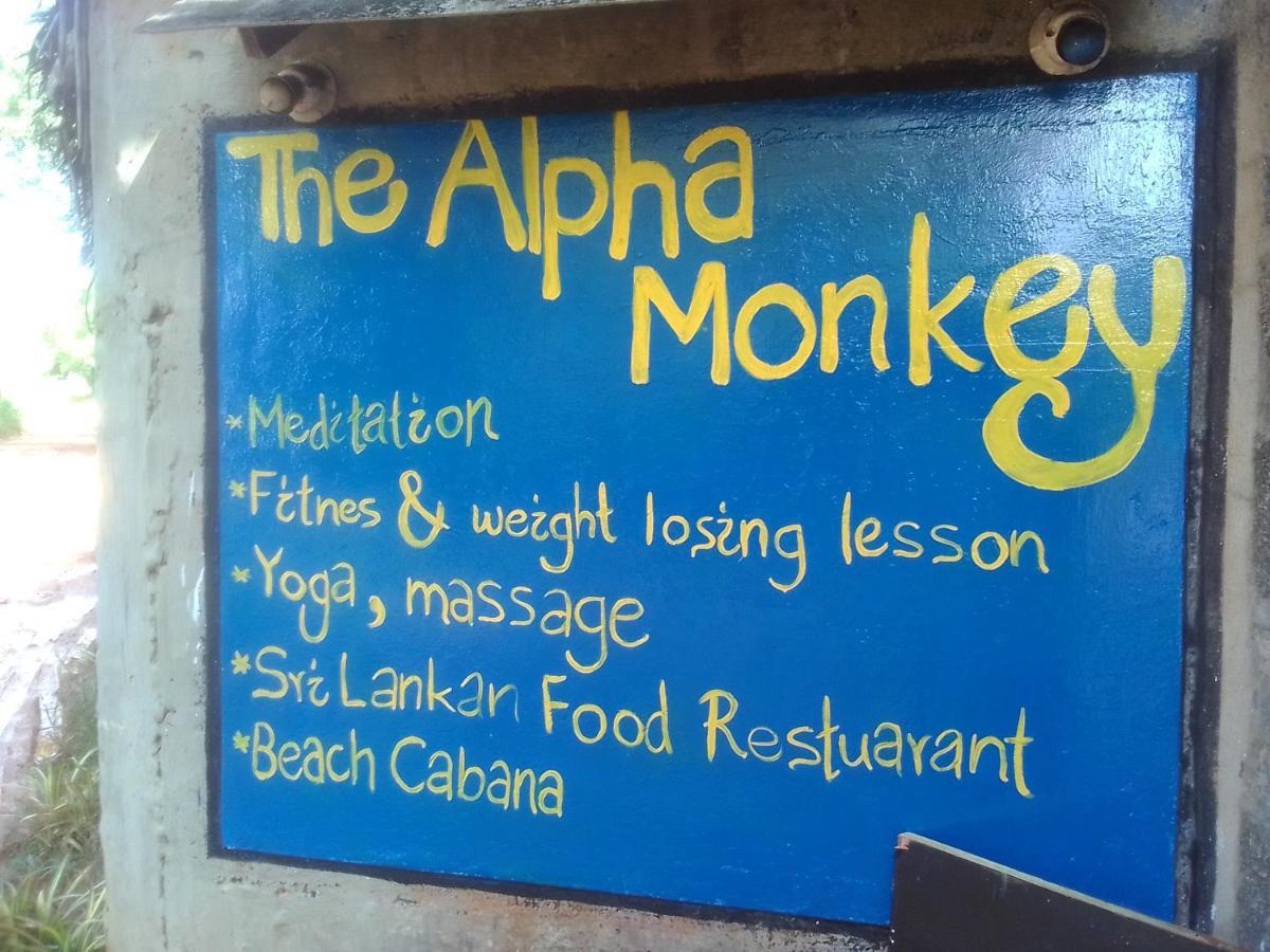 The Alpha Monkey Hotel & Tree House Тангалла Экстерьер фото