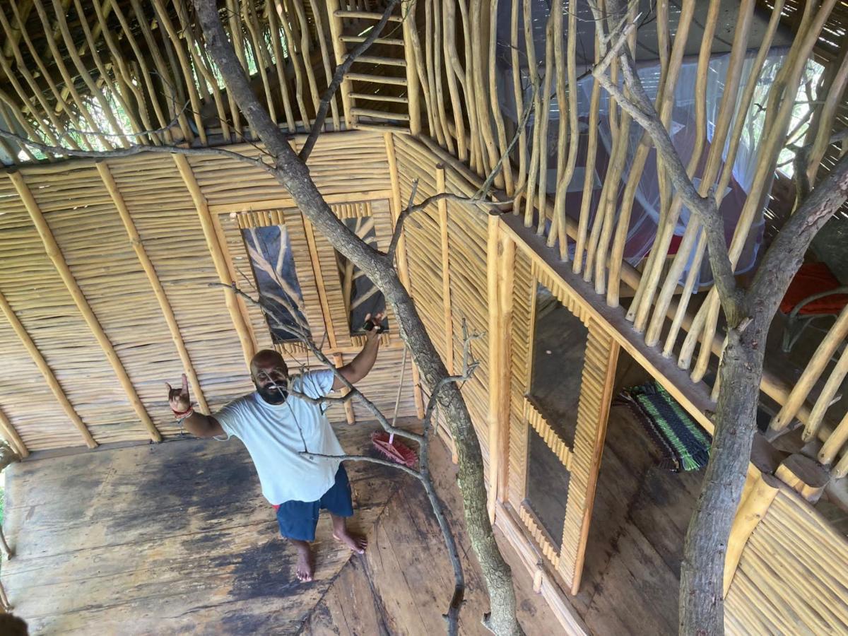 The Alpha Monkey Hotel & Tree House Тангалла Экстерьер фото