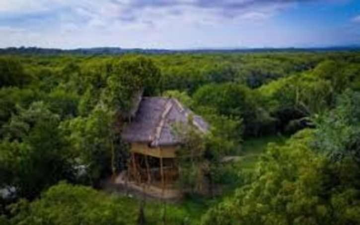 The Alpha Monkey Hotel & Tree House Тангалла Экстерьер фото