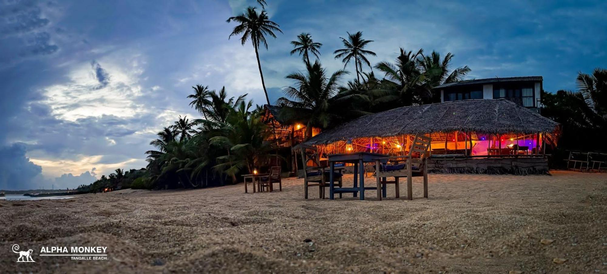 The Alpha Monkey Hotel & Tree House Тангалла Экстерьер фото