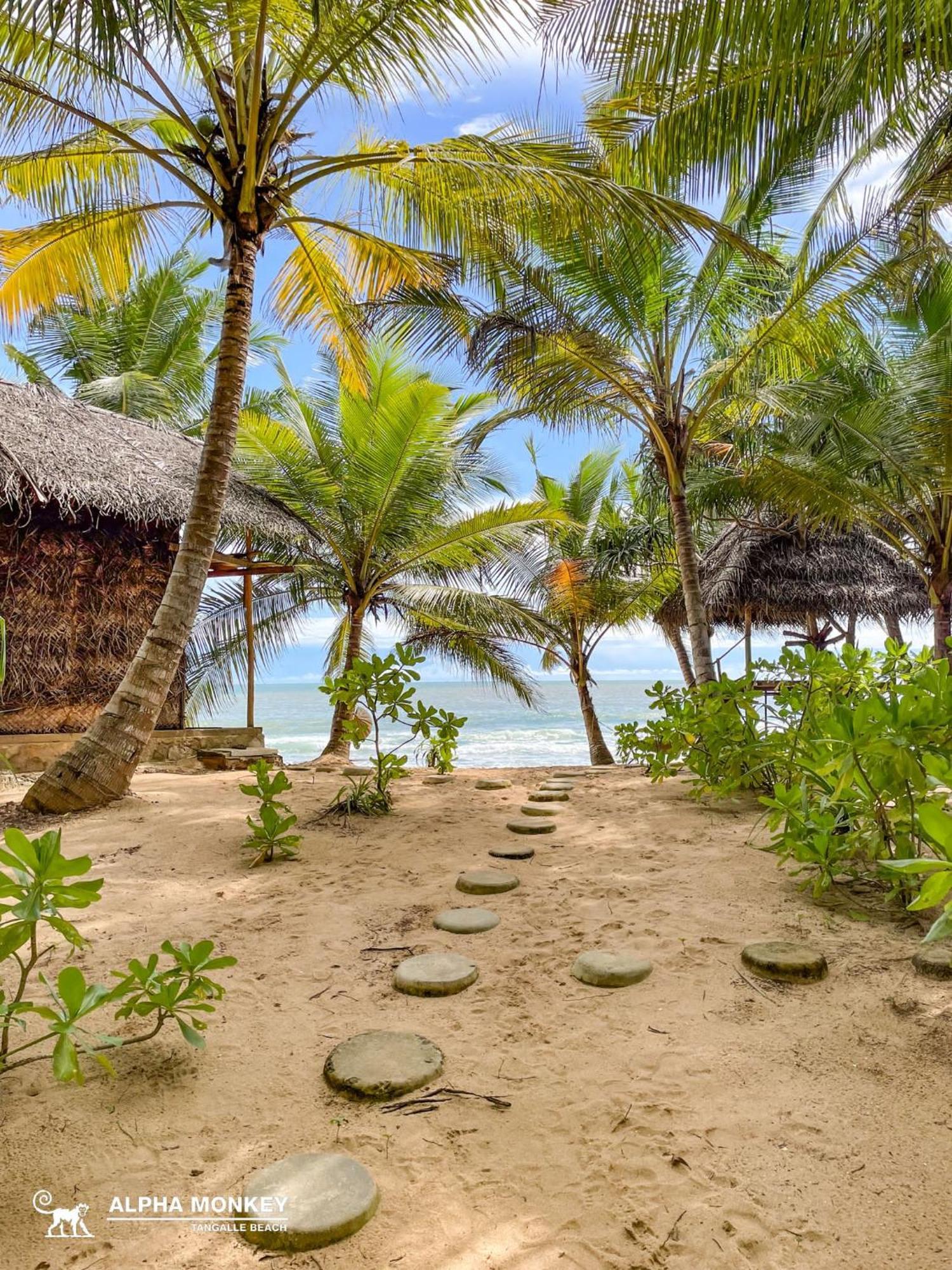 The Alpha Monkey Hotel & Tree House Тангалла Экстерьер фото