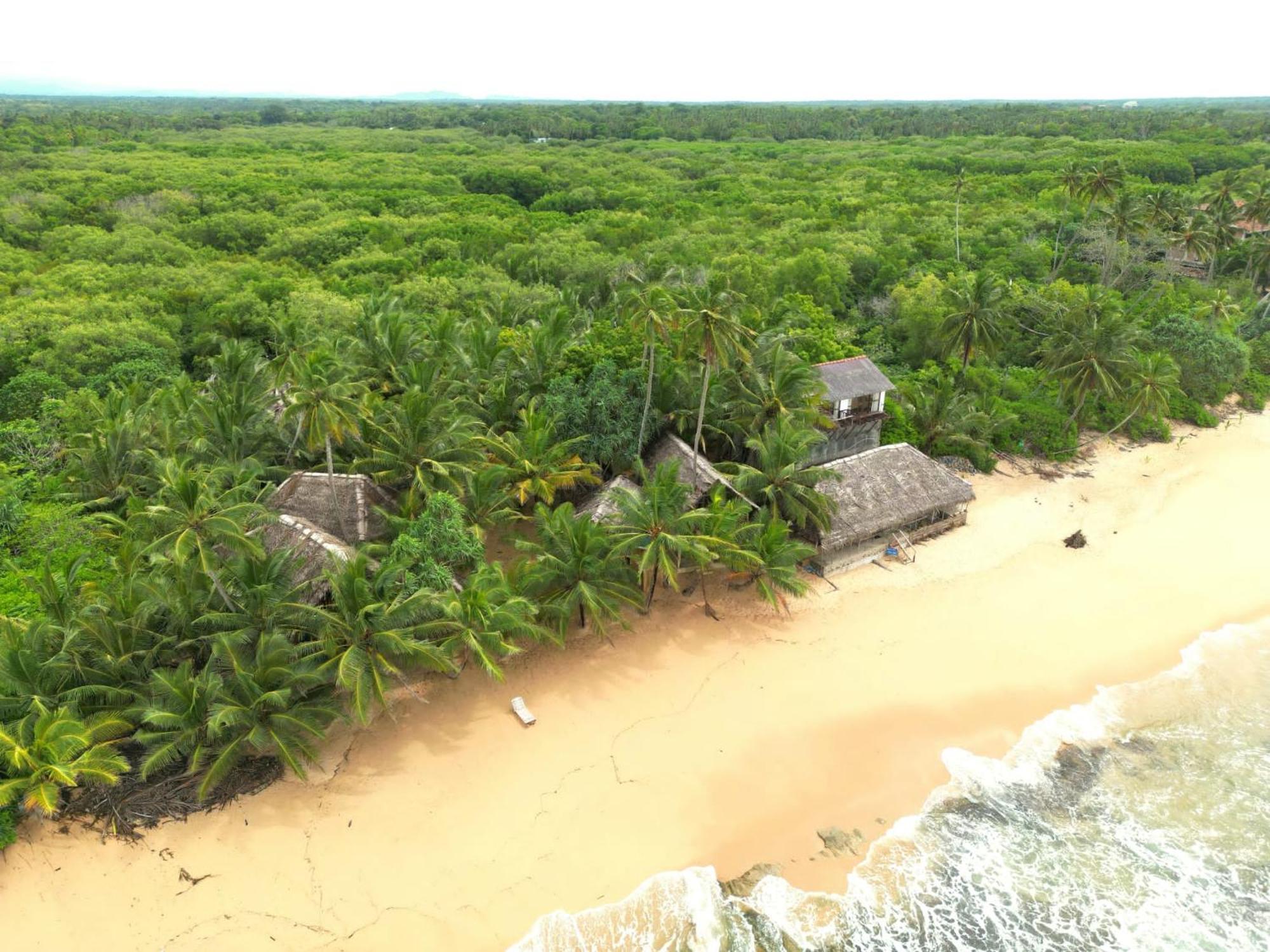 The Alpha Monkey Hotel & Tree House Тангалла Экстерьер фото